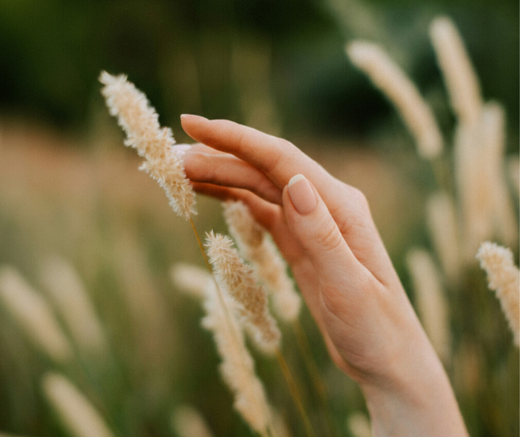 Frauenhand mit gepflegten Fingernägeln berührt sanft eine Ähre in einem Feld mit unscharfem Hintergrund.